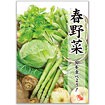 A3ポスター 春野菜