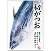 A3ポスター 初がつお