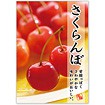 A3ポスター さくらんぼ