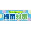 雨飴☆A2ポスター5枚/A3ポスター1枚☆おまとめ割引 雨飴様専用☆A2ポスター5枚/A3ポスター1枚☆おまとめ割引 （HAUS
