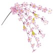 桜エコシダレ