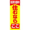 のぼり(大) 住むならここ(好評分譲中)