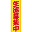 のぼり（大） 生徒募集中