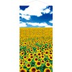 ひまわり青空タペストリー（防炎加工）