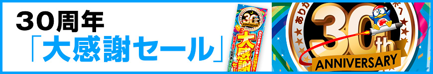 2019生誕30周年のご案内