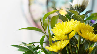 秋のお彼岸、お彼岸の由来と歴史を解説！早良親王の祟り？波羅蜜って？