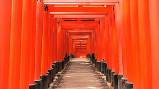 鳥居とは？鳥居の形・種類による意味の違い。起源や朱色の訳は？鳥居関連のPOP・装飾品もご紹介！